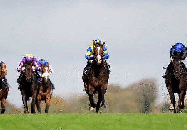 How Horse Training Has Evolved Over the Decades