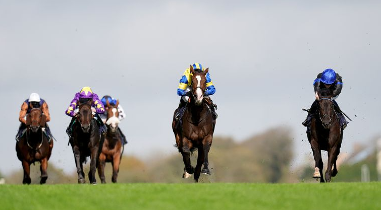 How Horse Training Has Evolved Over the Decades