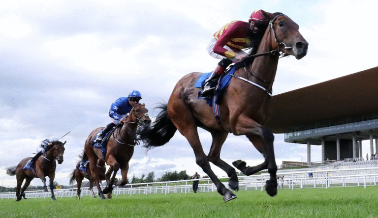 How Horses Adjust to New Stables