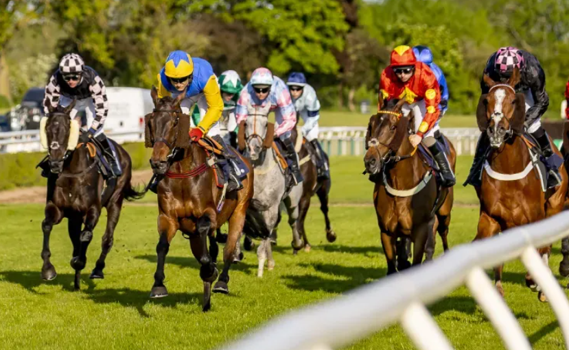 How Horses Become Media Sensations