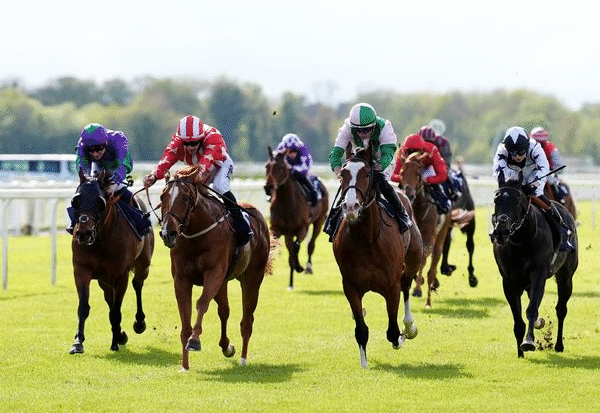 How Horse Racing Shapes Regional Identity