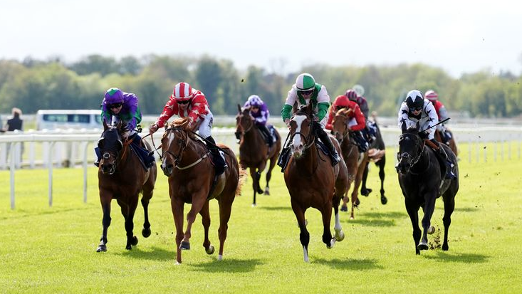 How Horse Racing Shapes Regional Identity